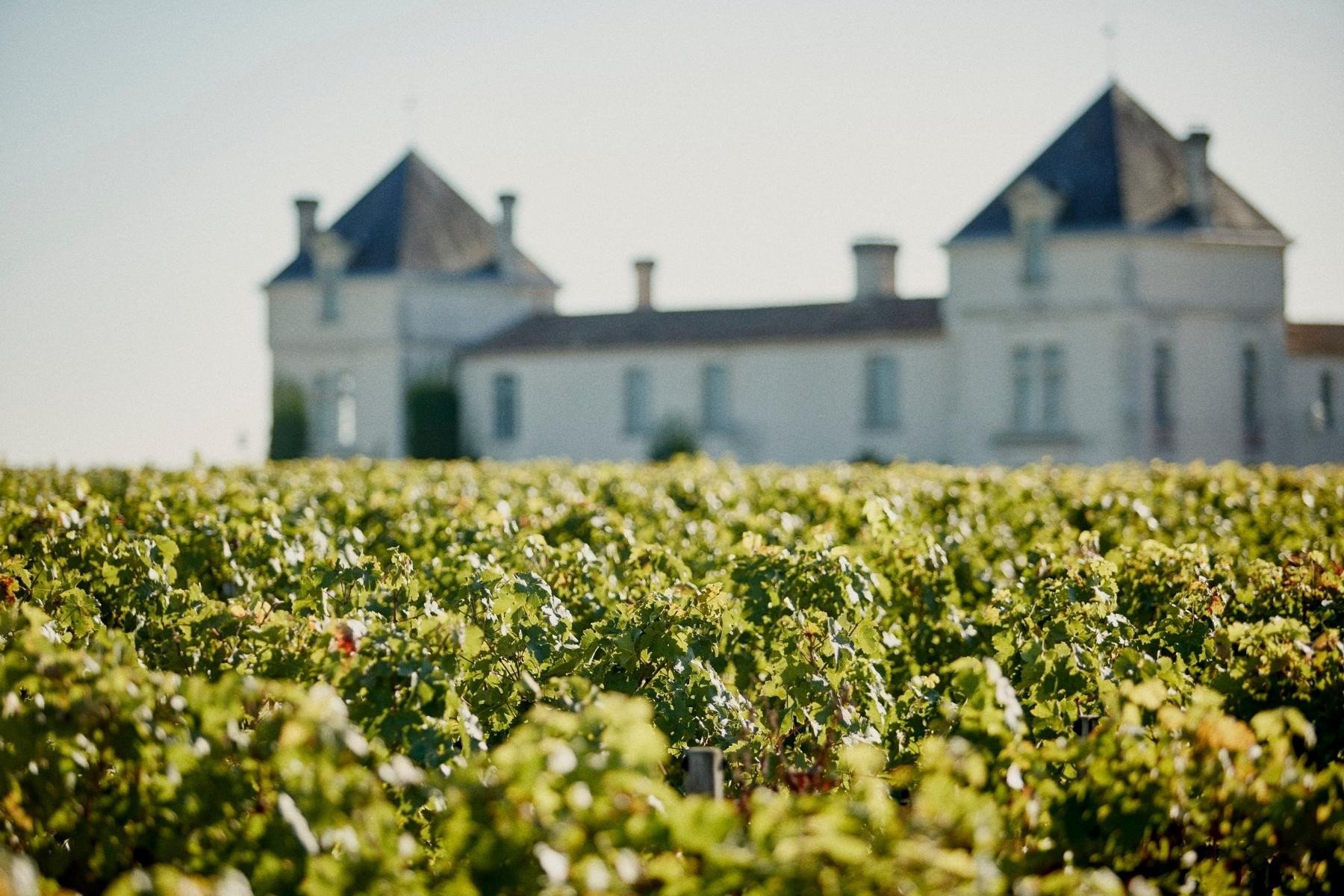 Story Château de Pez Portfolio Maisons Marques & Domaines