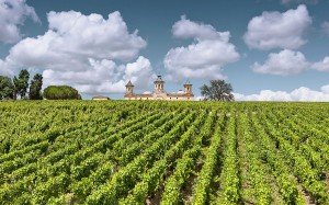 Château Cos d’Estournel estate and vineyards