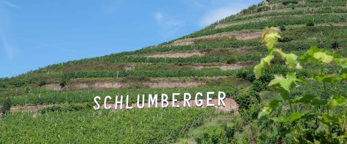 Domaines Schlumberger Grand Cru vineyard holdings in Alsace