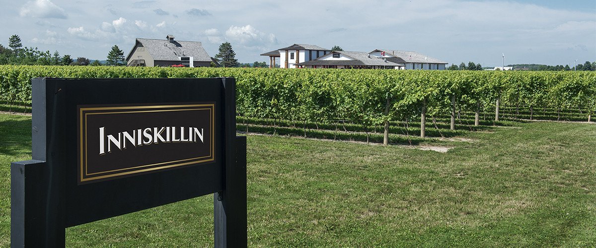 Inniskillin vineyard and winery