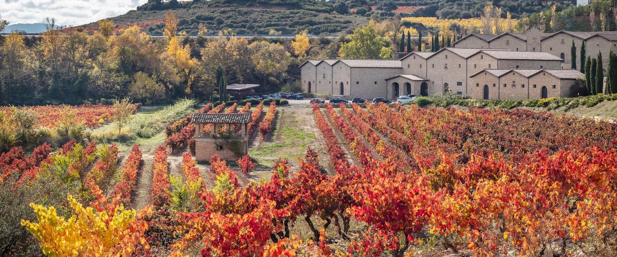Marqués de Murrieta winery and vineyard