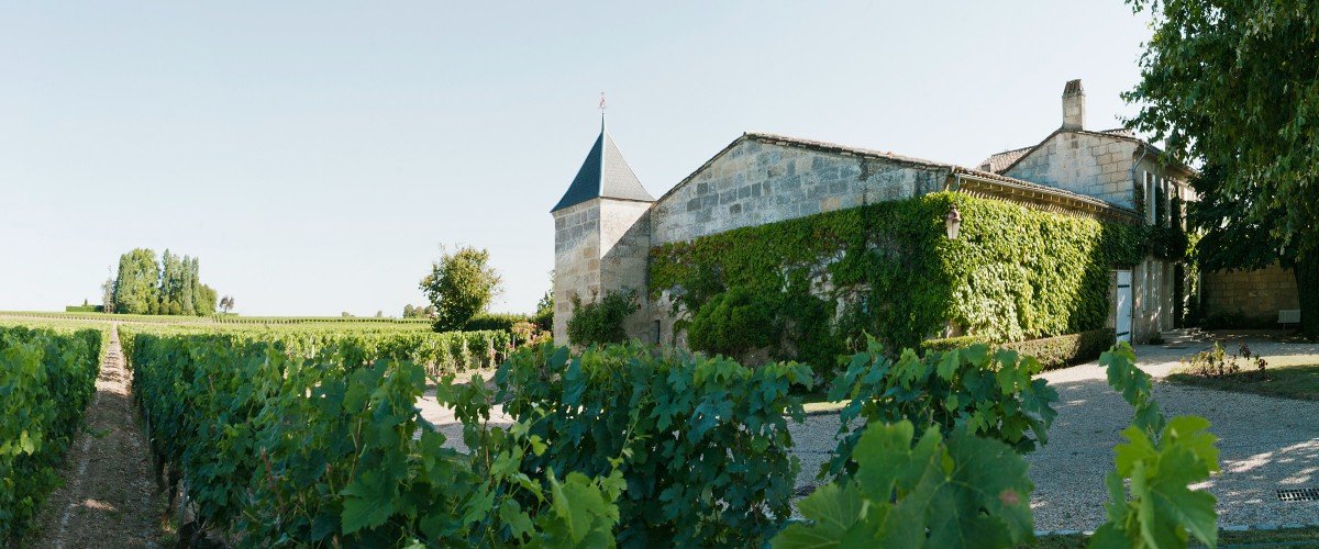 Château Bourgneuf Vineyard and Winery