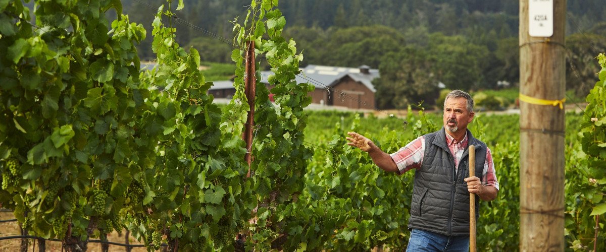 50 acres of estate vineyards are managed by California native Bob Gibson