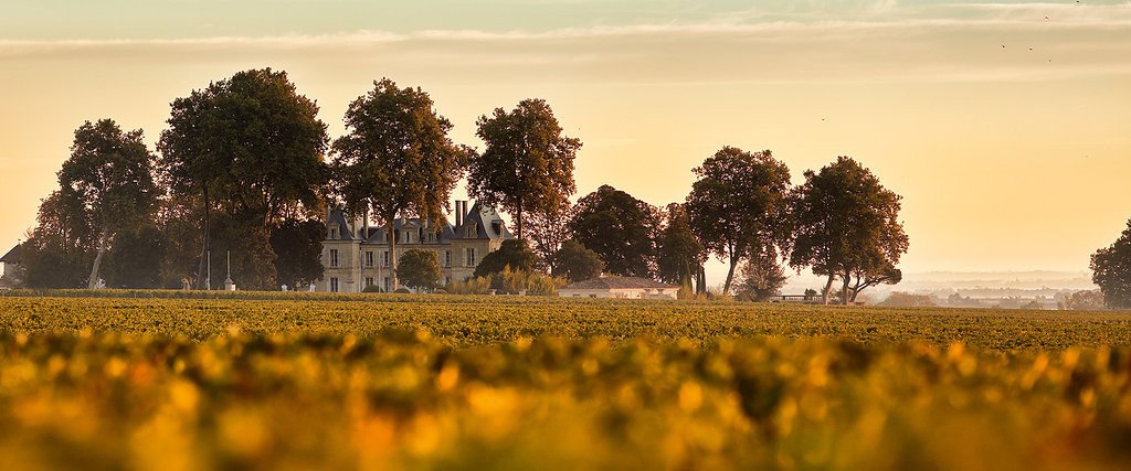 Château Pichon Comtesse and its vineyard
