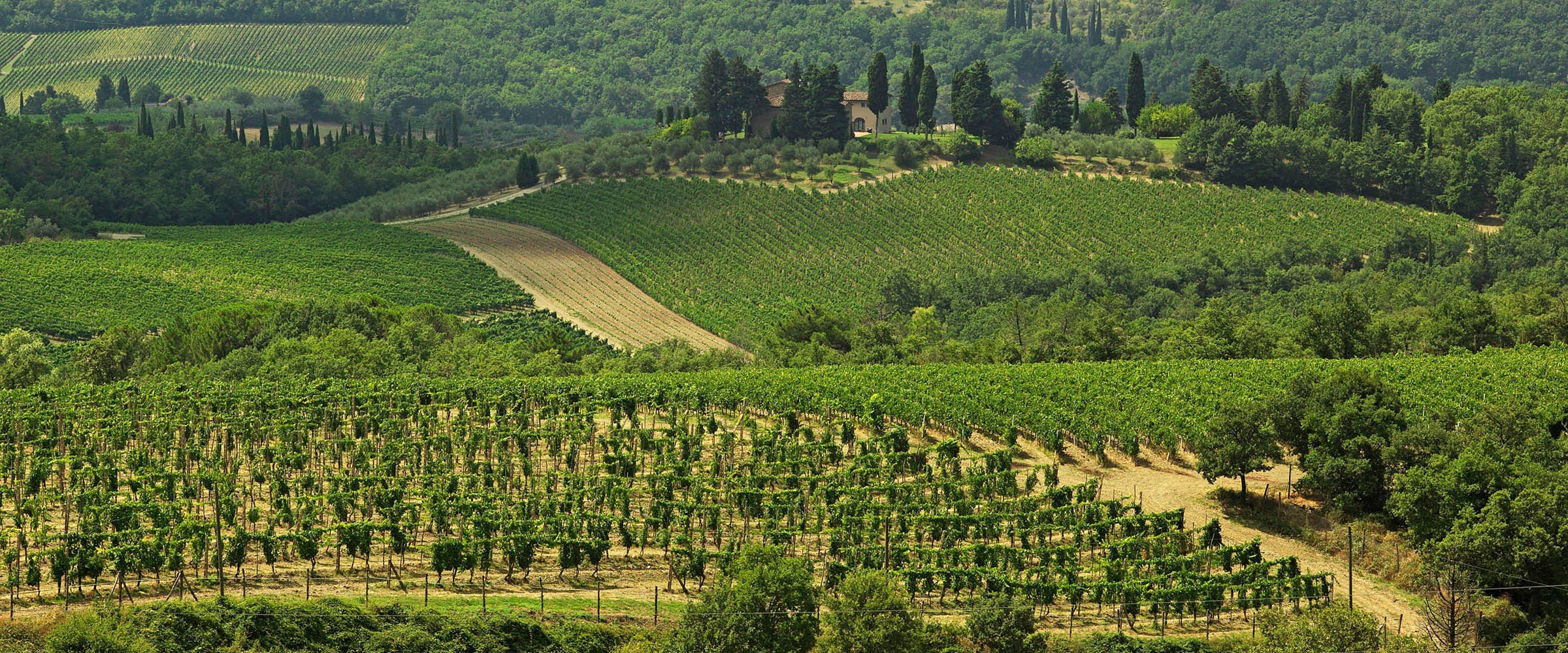 Querciabella | Portfolio | Maisons Marques & Domaines