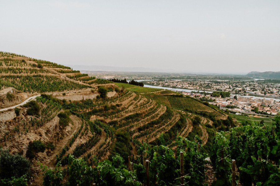 Delas Frères vineyards overlooking Tain-l'Hermitage