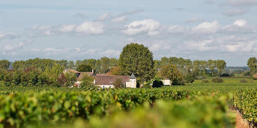 Château Bourgneuf Vineyard