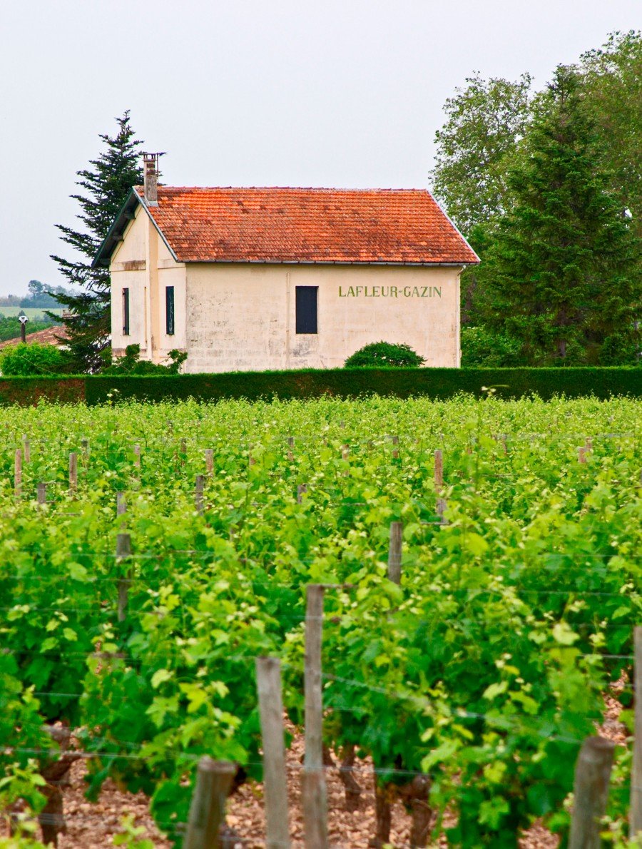 Château Lafleur Gazin vineyard