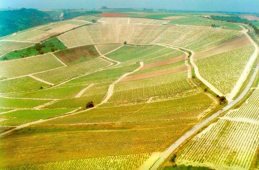 La Poussie vineyards