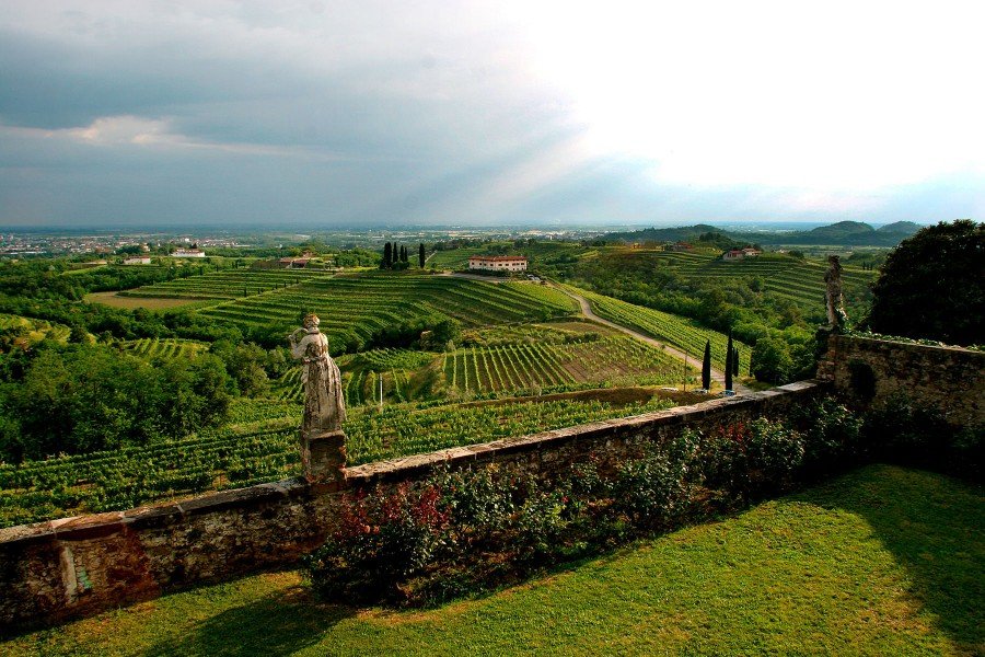 Abbazia di Rosazzo vineyards