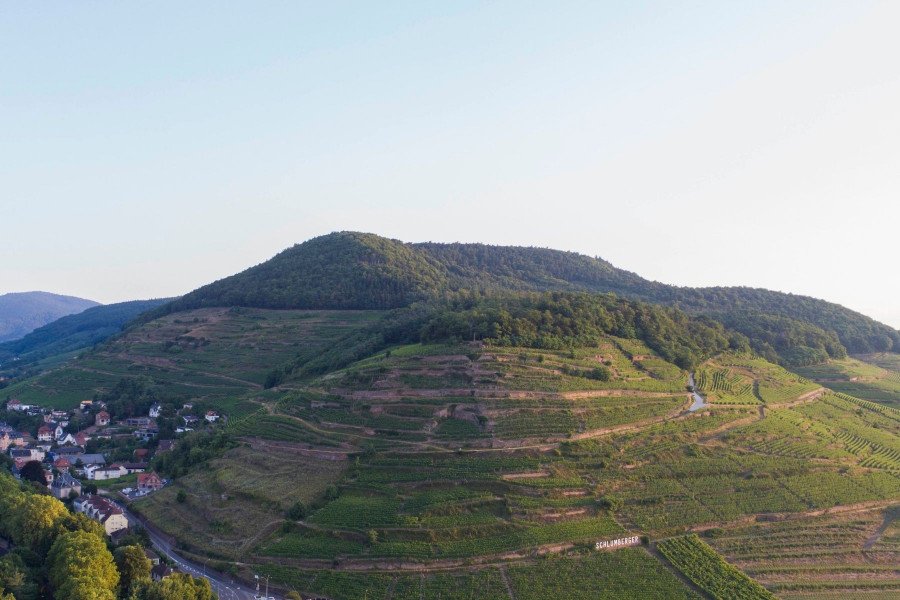 A bird's eye view of Domaines Schlumberger vineyards in Alsace