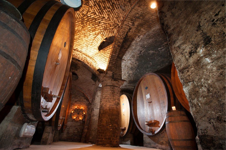 Pio Cesare cellar